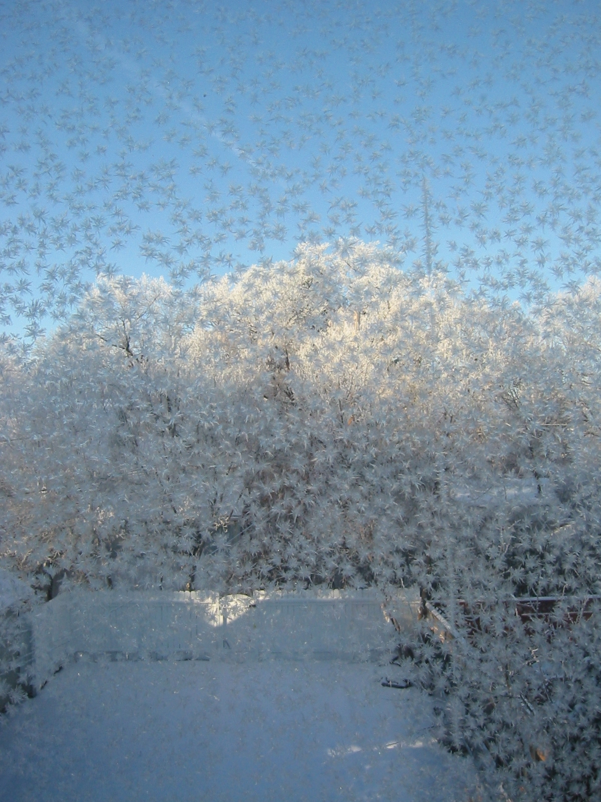 frosted window